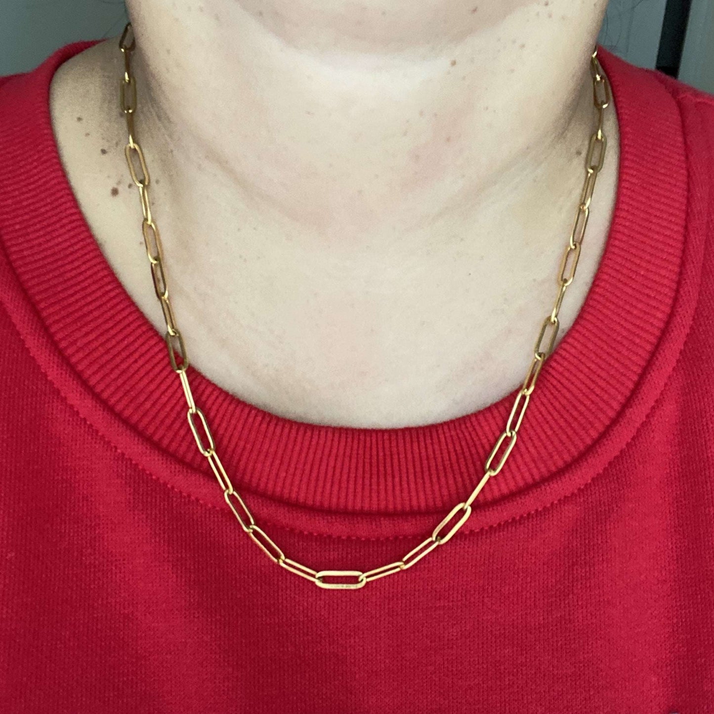 
                  
                    Hannah Paperclip Chain Necklace
                  
                